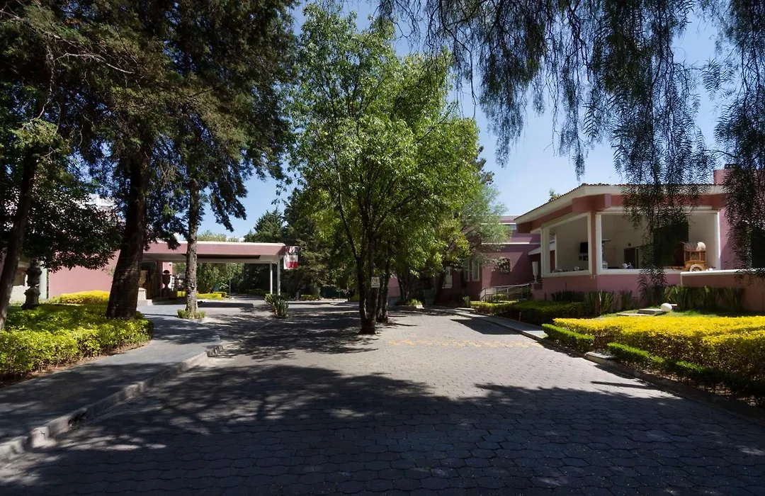 Hilton Mm Grand Hotel Puebla, Tapestry Collection-1